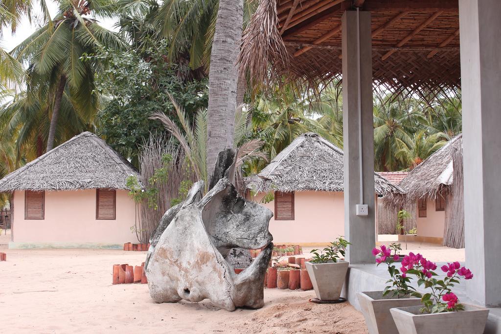 Cocodance Kitesurfing Resort Kalpitiya Bagian luar foto