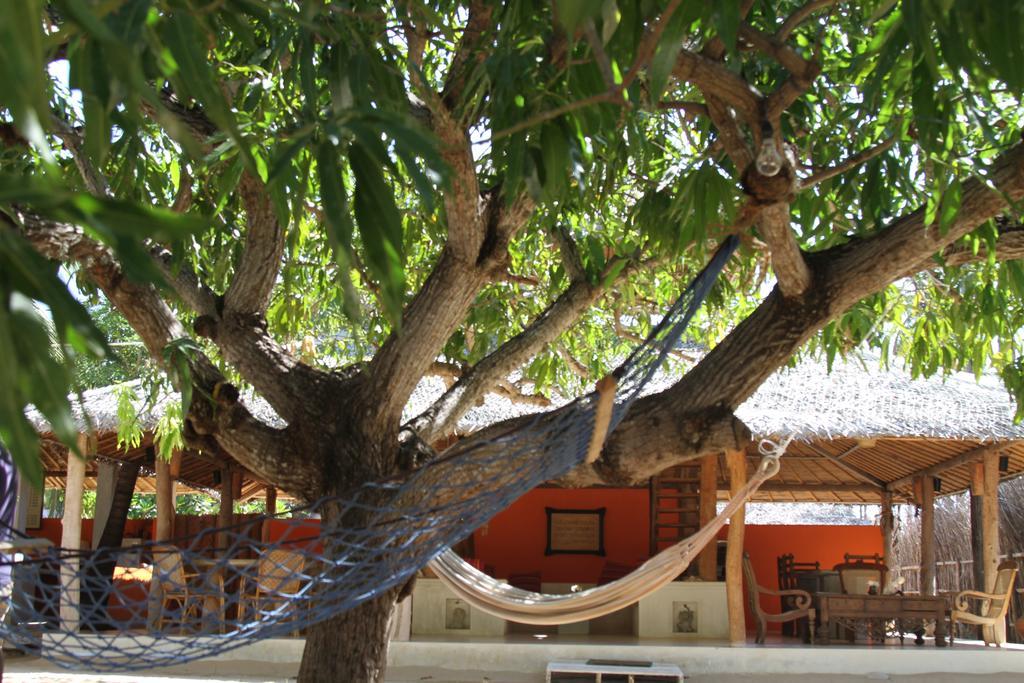 Cocodance Kitesurfing Resort Kalpitiya Bagian luar foto